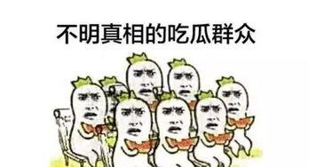 舆论吃瓜群众,吃瓜群众的狂欢与反思