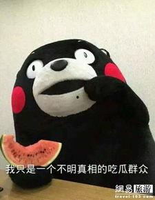 吃瓜群众瓜皮,揭秘吃瓜群众瓜皮背后的趣味与真相