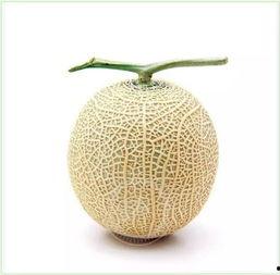 巴比伦吃瓜群众是谁,揭秘古代都市的舆论风向标