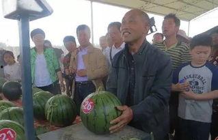 鹿泉吃瓜群众视频曝光,揭秘事件背后真相