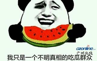 朝阳区吃瓜群众什么意思,网络围观背后的社会心理