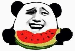 冒牌的吃瓜群众是谁,网络红人的真实身份与影响力