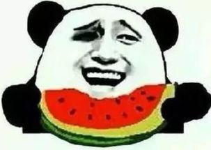 吃瓜群众自居的图片,一场视觉盛宴的幕后花絮