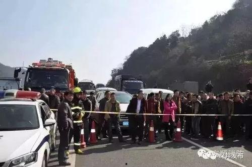 吃瓜群众挂旗子视频,展现爱国情怀与趣味瞬间