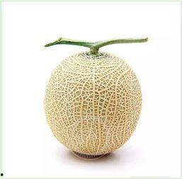 文轩吃瓜群众是谁