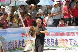 风雨吃瓜群众心得体会,笑谈人间百态