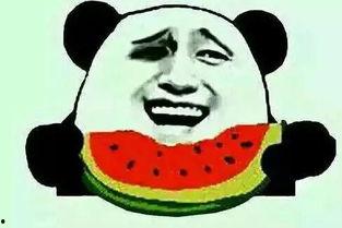 表白的吃瓜群众