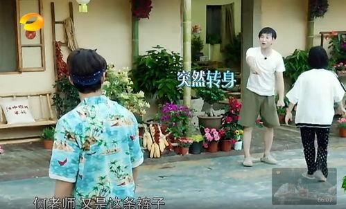 东城吃瓜群众事件真相,揭开真相背后的迷雾