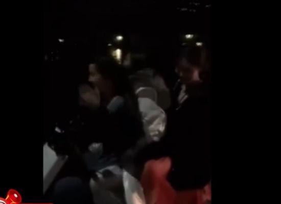 群众喂鹅吃瓜视频,网友直呼可爱爆表