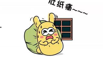 我们家的吃瓜群众,揭秘我家那些事儿