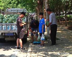 寿光西城吃瓜群众