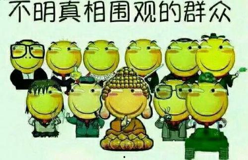 环球旅行吃瓜群众,吃瓜群众的味蕾冒险记