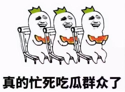 吃瓜群众看人生,吃瓜群众视角下的多彩人生画卷