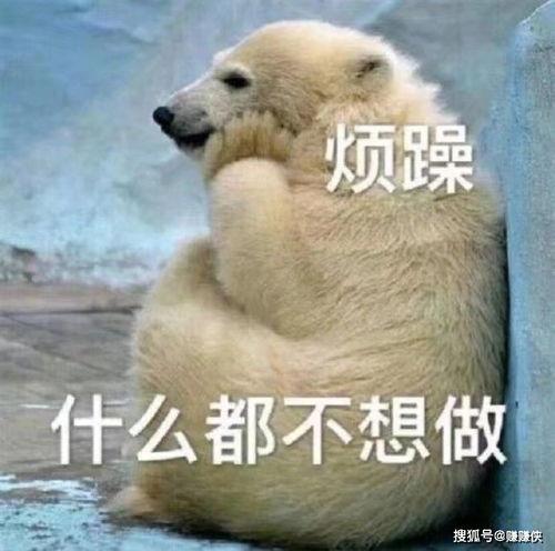 吃瓜群众思考图片,揭秘“吃瓜群众”背后的思考与现象