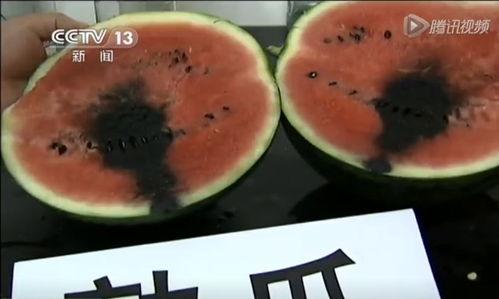 吃瓜群众大餐视频,一场视觉与味蕾的双重盛宴