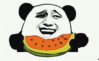 为何叫吃瓜群众不叫,网络文化中的趣味与智慧