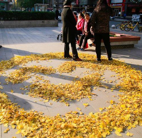 吃瓜群众秋风落叶黄,揭秘吃瓜群众的趣味生活