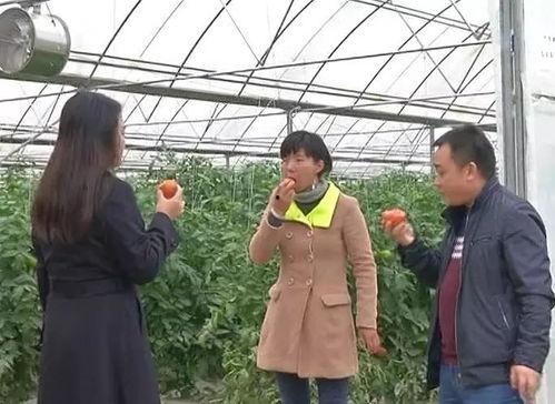 寒冷的冬天吃瓜群众